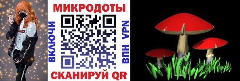 где можно купить наркотик  Петровск-Забайкальский  Галлюциногенные грибы Psilocybine cubensis 